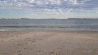 never get attached to woman #mgtow