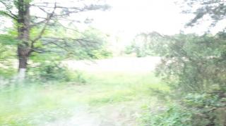 Snares And Traps Part 6 - Mgtow