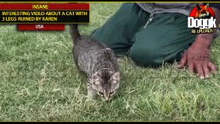 INTERESTING VIDEO ABOUT a CAT WITH 3 LEGS, RUINED BY KAREN.. (USA)