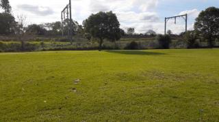 woman in groups #mgtow