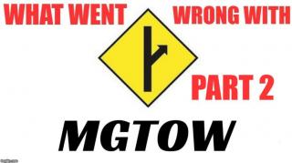 What Went Wrong with MGTOW: Too Much Anger, Hatred, and Selfishness - Part 2 of 7