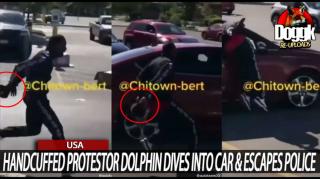 HANDCUFFED PROTESTOR DOLPHIN DIVES INTO CAR AND ESCAPES POLICE.. (USA)
