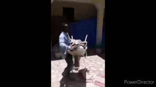 NSFW 18+ Silly Black People Compilation