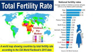 TFM Clip - Low Fertility Rates, or why you just say no to women