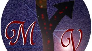 A Chat with MGTOW Values