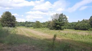 Lockout Part 5 - Mgtow