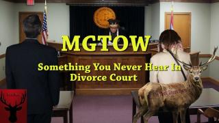 MGTOW Something You Never Hear In Divorce Court