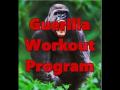 Guerilla Workout Program