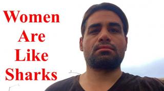 If You Understand Great White Sharks You'll Understand Female Nature