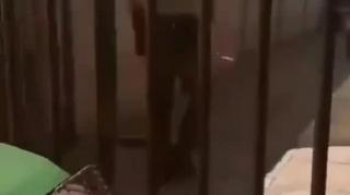 ⁣Entre salvar uma mulher e um cachorro, qual seria sua decisão?