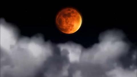 Estão Acordando? / Dançarina da Globo / Mulheres da Semana / Virgem aos Olhos de Deus