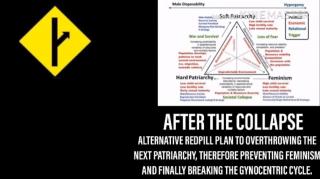 The MGTOW Revolution And The Patriarchal Coup Part 1 Reupload