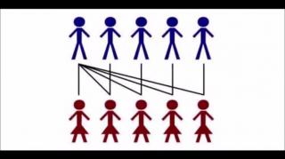 Explico la hipergamia femenina con estudios que la sustentan (Patricia HL)