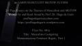 401b  Masculists Castigate Monoconscious Feminazi Bigots (MFBs), Part 2  (Masculism, MGTOW)