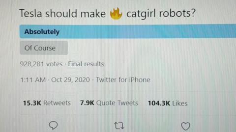 Elon Musk will make sexbots