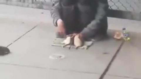 The Rat Whisperer by Kronik