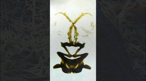 Waking Life Philip K Dick Lady Gregory Acts of the Apostles Grateful Dead "Just Wake Up"