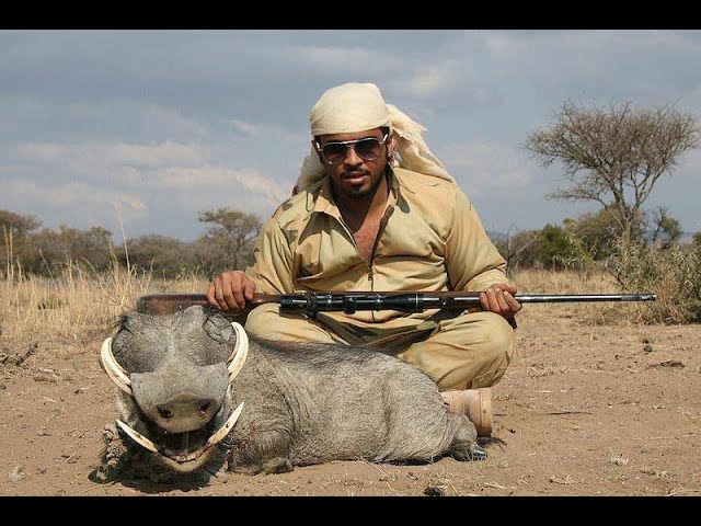 African Simps Go White-Hog Hunting!