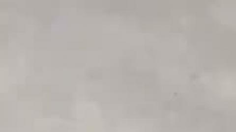 Nazi Covid Cops arresting people for visiting graves in cemetery.   Rookwood, Sydney, New South Wales, Australia.