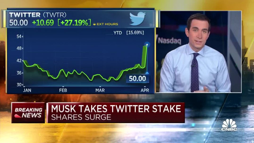 ELON MUSK BUYS TWITTER