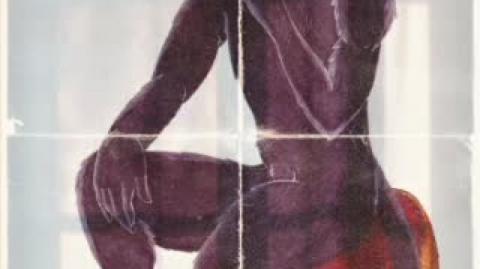 Reflexão N°2 - Pantera Ferreira