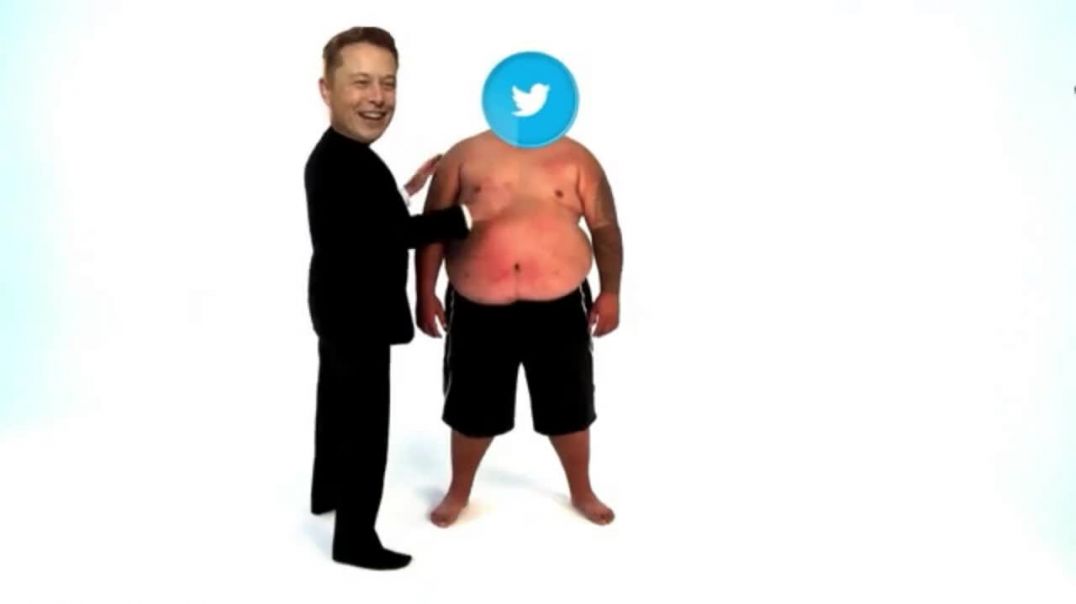 Elon Musk Vs Twitter