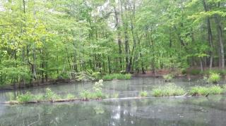 Lockout Part 8 - Mgtow