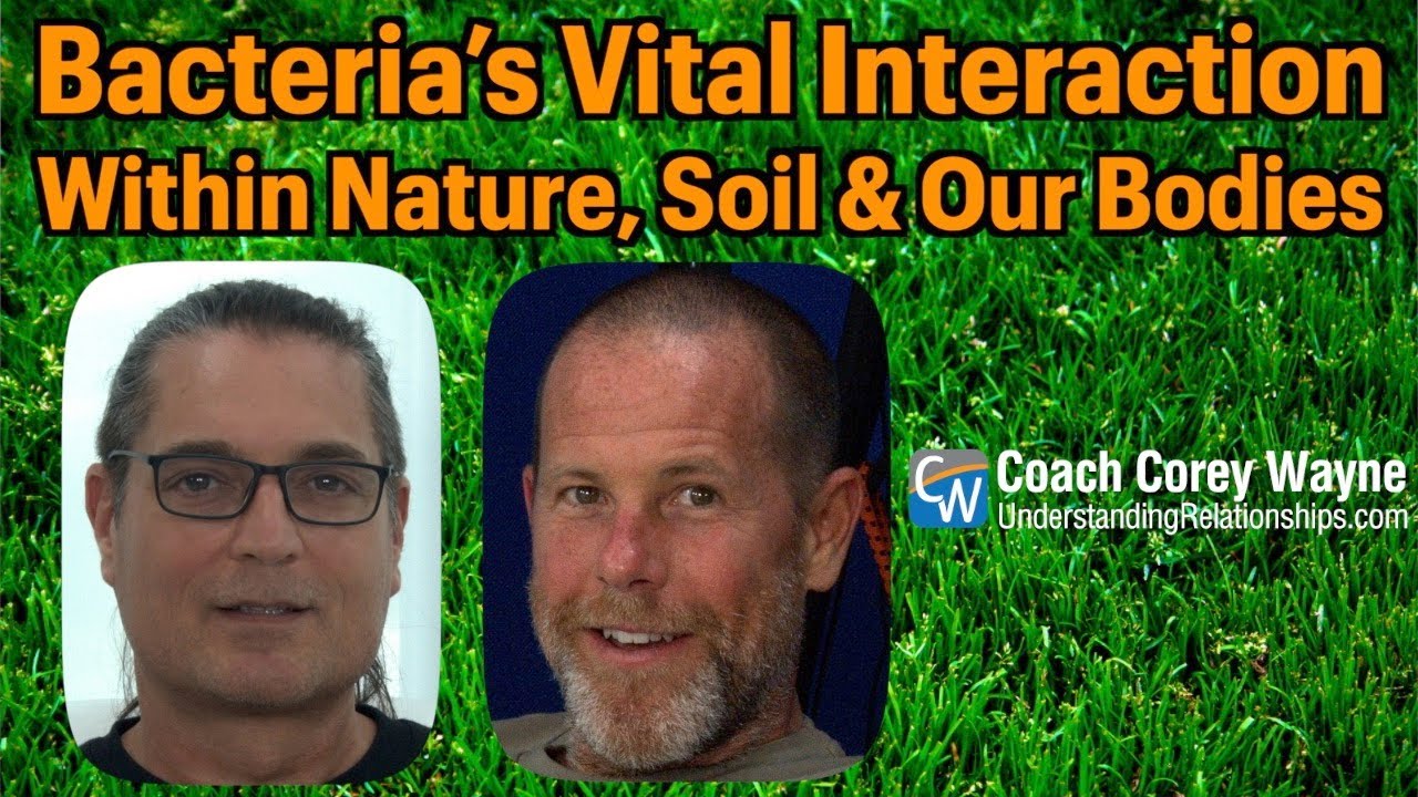 Bacteria’s Vital Interaction Within Nature, Soil & Our Bodies