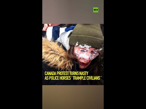 Canada protest turns nasty as police horses 'trample civilians'