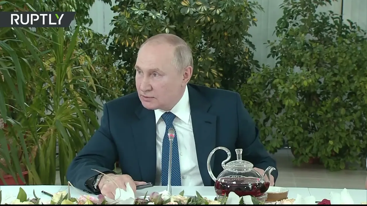 Unlike Ukraine, Russia doesn’t have radicals in government - Putin