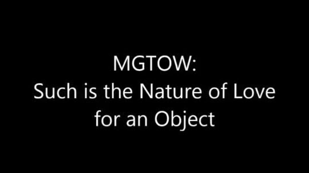 MGTOW - Such is the Nature of Love for an Object (Turd Flinging Monkey Reupload)