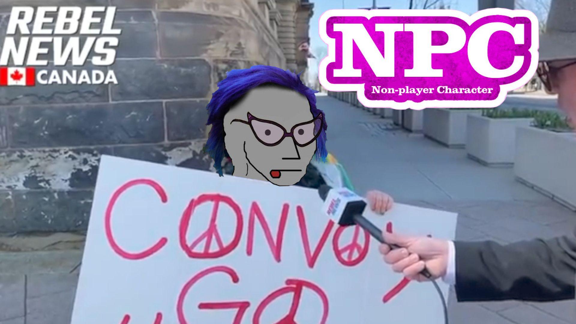 Rebel News Encounters a Glitching NPC