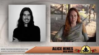 VICE Attempts to Smear the Freedom Movement and Freedom Cells (mirror)