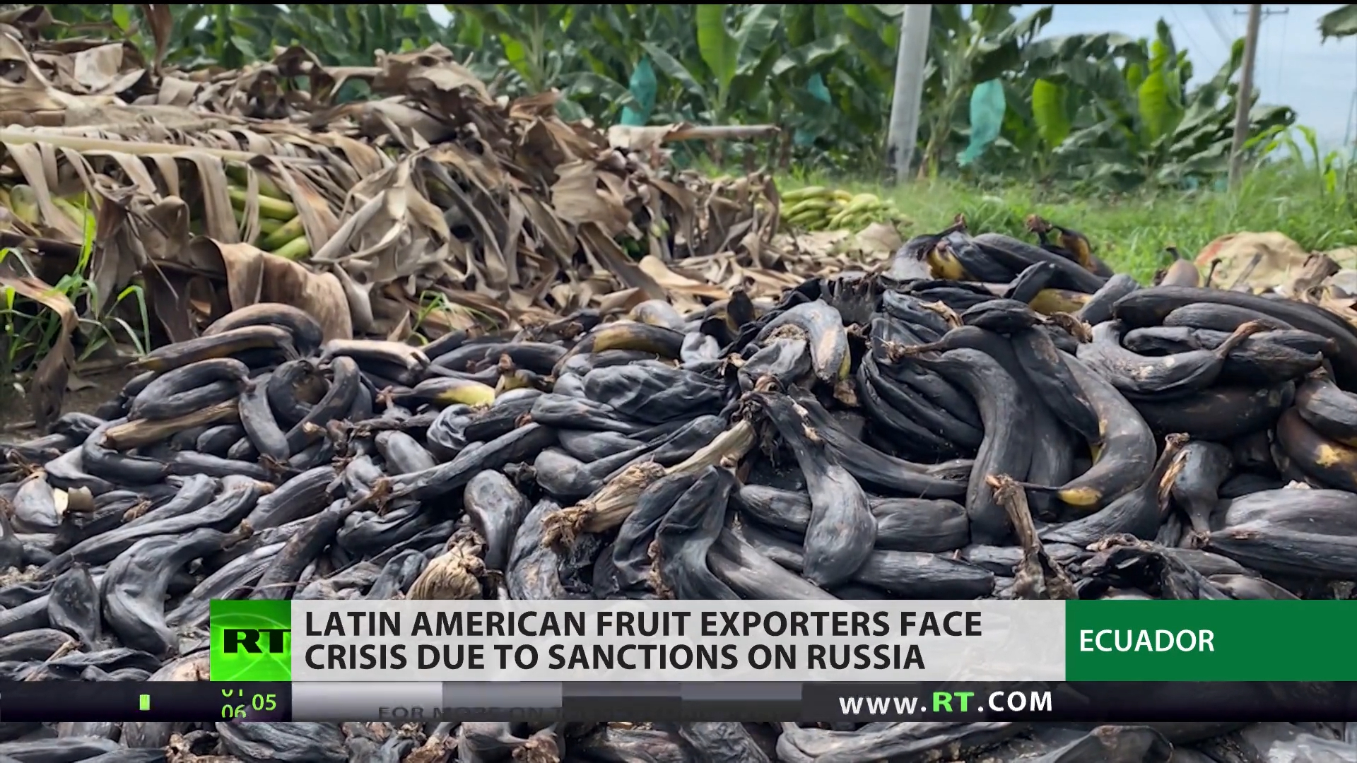 Russia sanctions hit Latin America fruit exporters