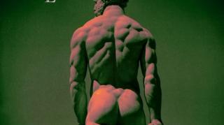 Evolvelismo - A Filosofia Que pode mudar sua vida