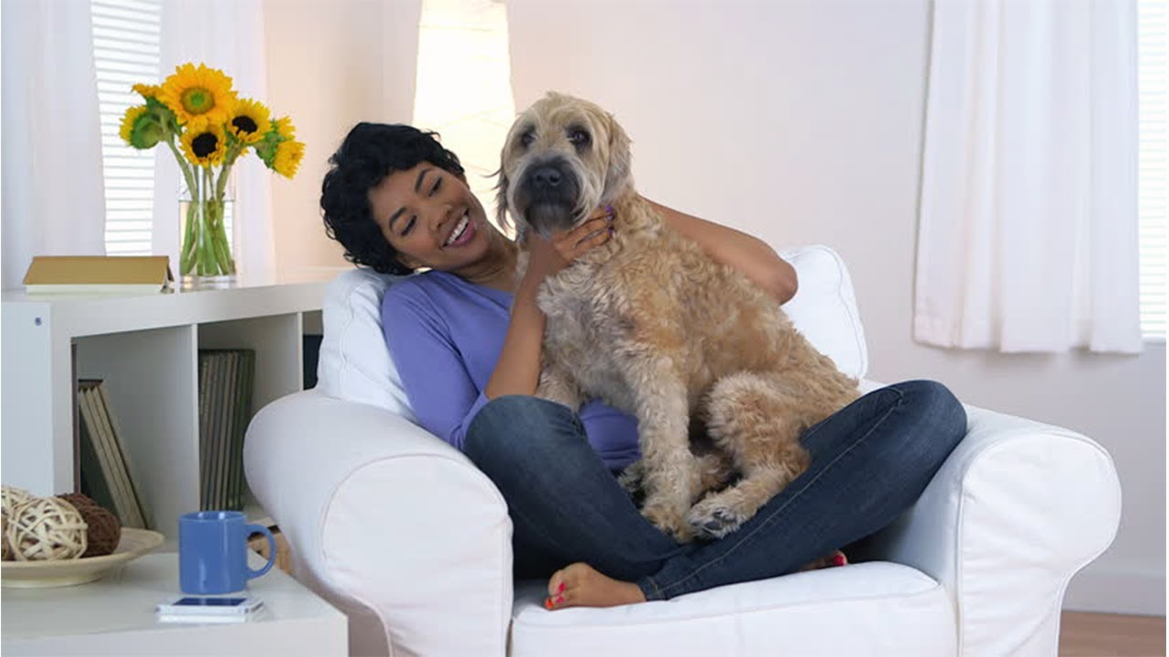 9 Problems With Dating Single Dog ? Moms