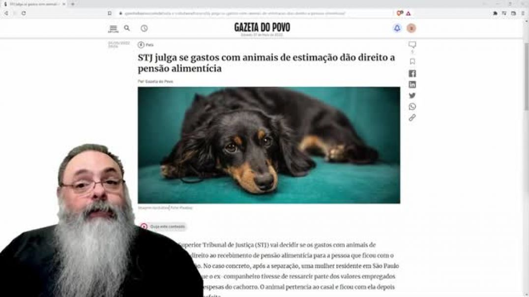 Pensão para animais de estimação.