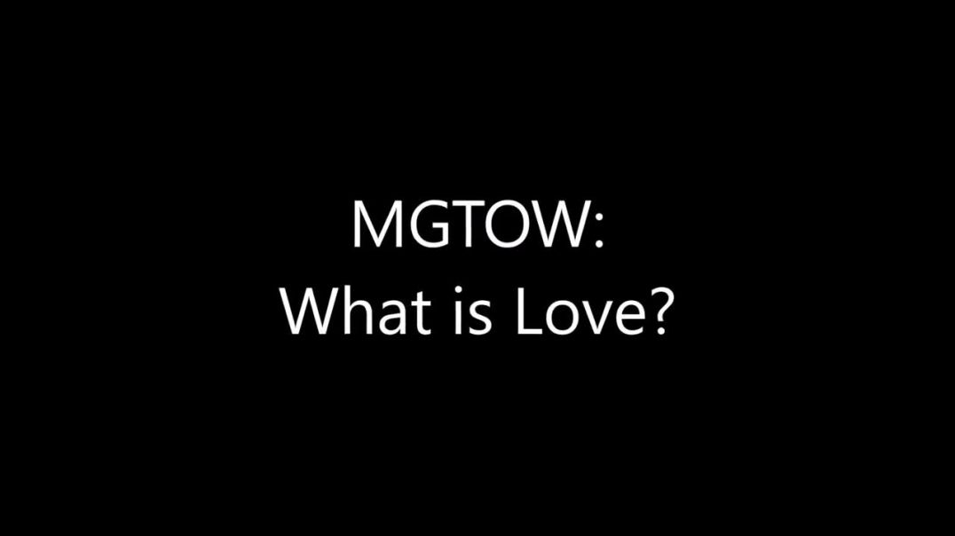 MGTOW_ What is Love (Turd Flinging Monkey Reupload)