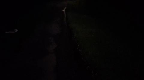 Kirra beach Queensland part2