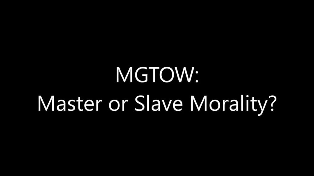 MGTOW_ Master or Slave Morality (Turd Flinging Monkey Reupload)