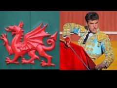 Should You Learn Spanish or Chinese for Entrepreneurship?