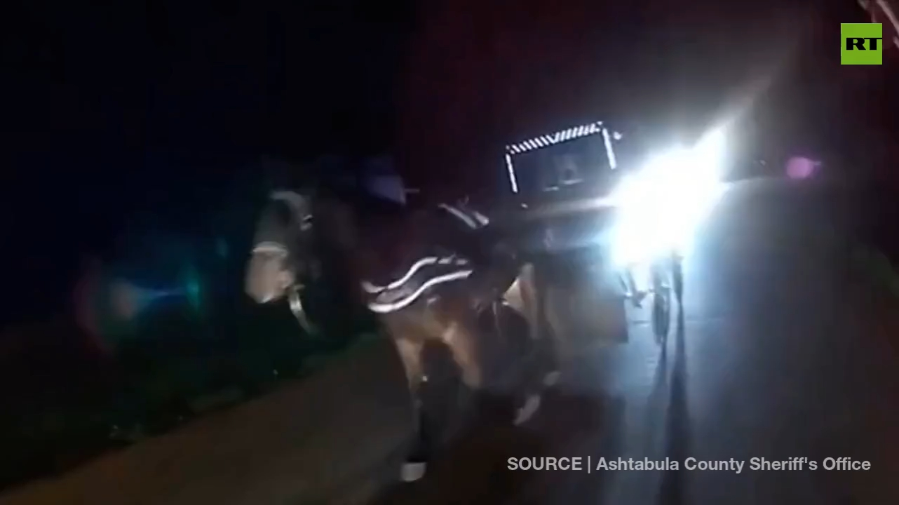 Drunk Amish slams police car