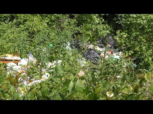 People Throwing Trash in the Woods! Illegal Dumping & Contaminating Nature!