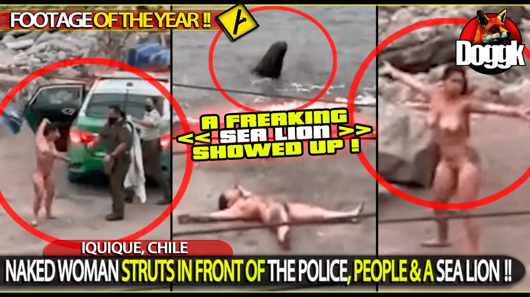 NAKED WOMAN STRUTS IN FRONT OF THE POLICE, PEOPLE & A SEA LION !! (IQUIQUE, CHILE)