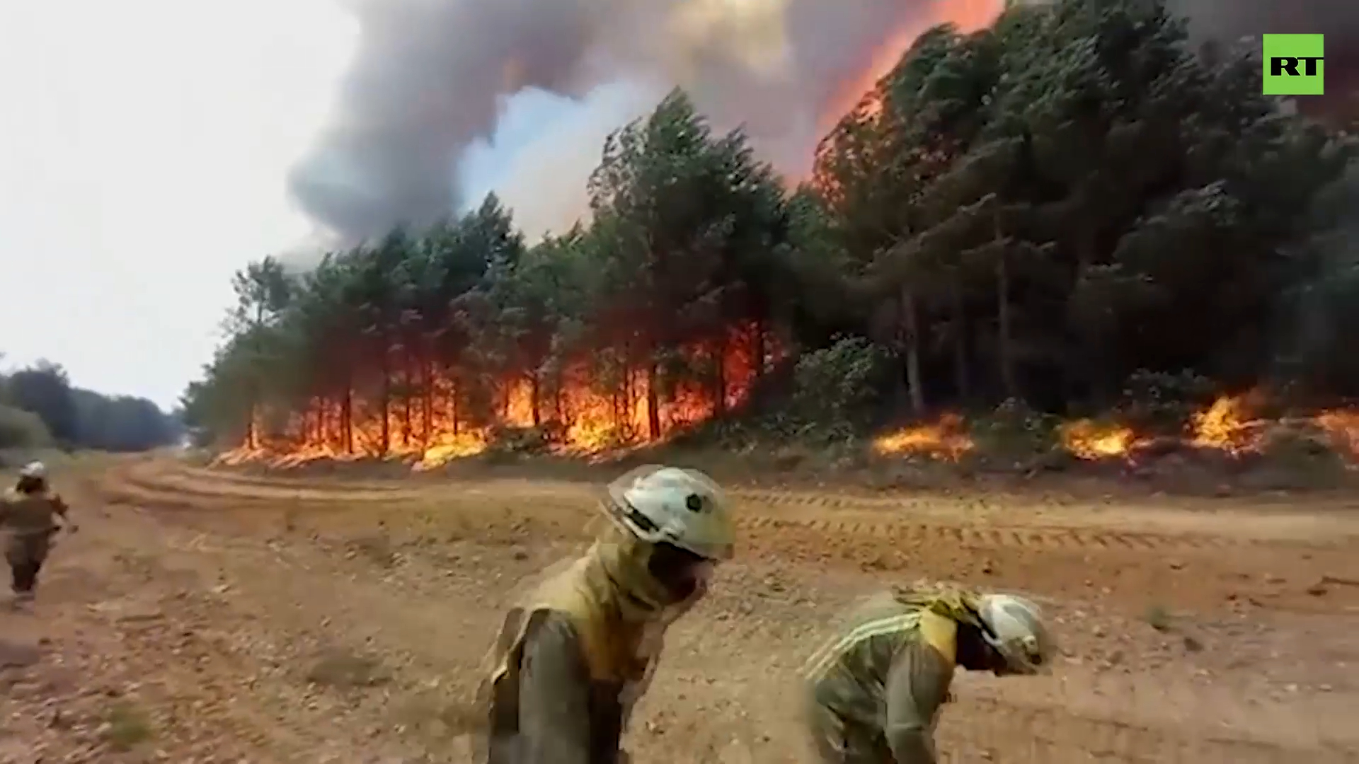 Wildfires takeover Spain's woodland