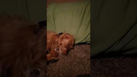 Goodnight Folks! Stay tuned! That live was locked down tighter than Fort Knox. They must of made-up.