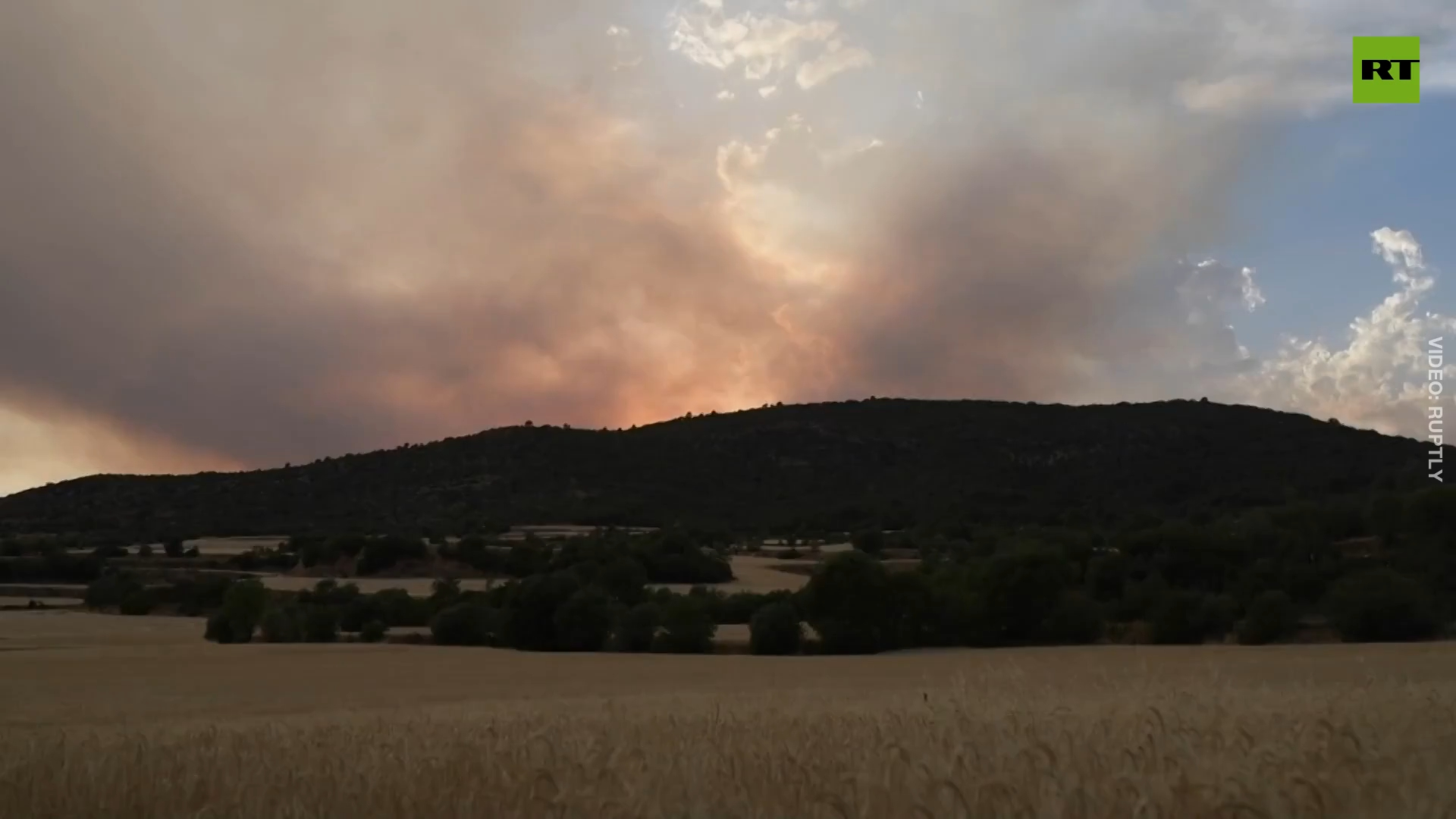 Wildfires destroy over 1,000 hectares of woods in Spain's Catalonia