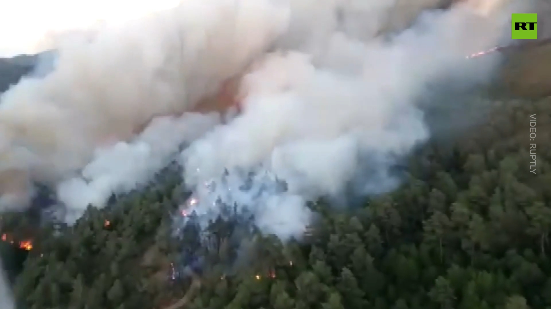 Wildfire ravages Turkey's Mugla province