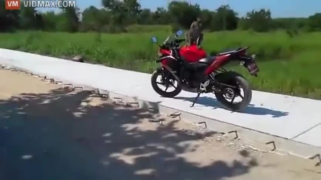 A woman gets into a fist fight with a monkey over a motorcycle