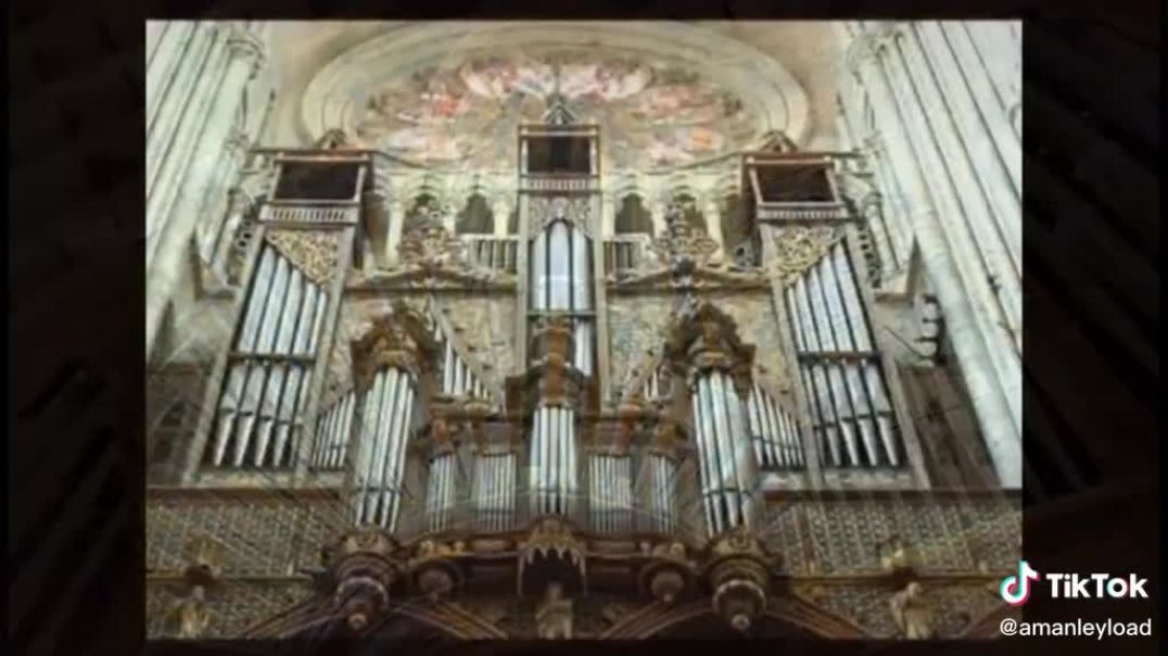 Healing through church "organs" - Royal Raymond Rife via Max Igan / The crowhouse